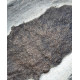 scaumenacia curta