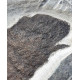 scaumenacia curta