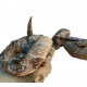 bostrychoceras polyplocum and baculites sp.