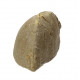 Echinocorys scutata