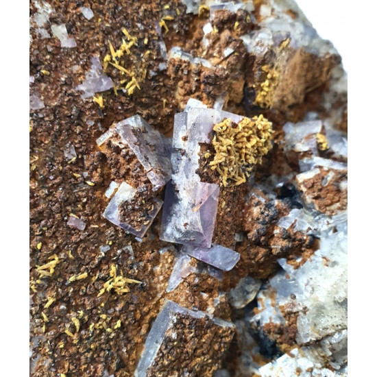 Fluorite and pyromorphite from maxonchamp