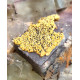 Fluorite and pyromorphite from maxonchamp