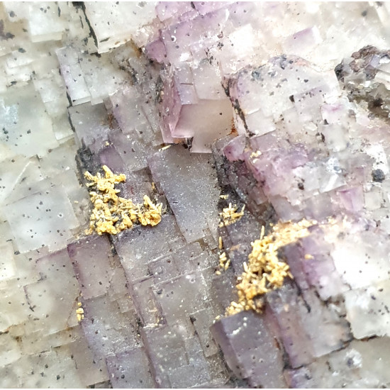Fluorite and pyromorphite from maxonchamp