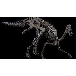 hypacrosaurus stebbengeri (skeleton)