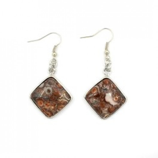 fossilized coral earrings