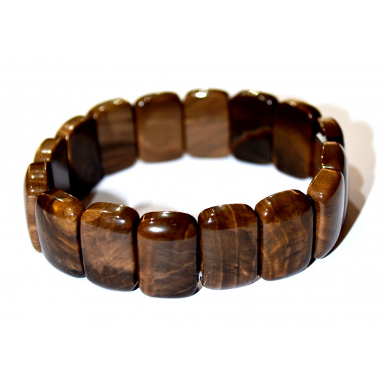 Rectangular Petrified Wood Bracelet
