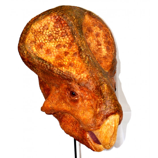 protoceratops andrewsi