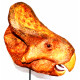 protoceratops andrewsi