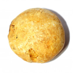 pygorhythis klairi