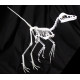 anchiornis huxleyi 
