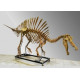 Spinosaurus aegypticus (skeleton) Spinosaurus aegypticus (skeleton)