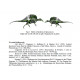 Spinosaurus aegypticus (skeleton) Spinosaurus aegypticus (skeleton)