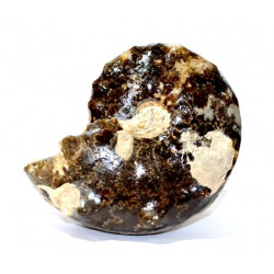 mammites nodosoides