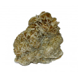 gypsum