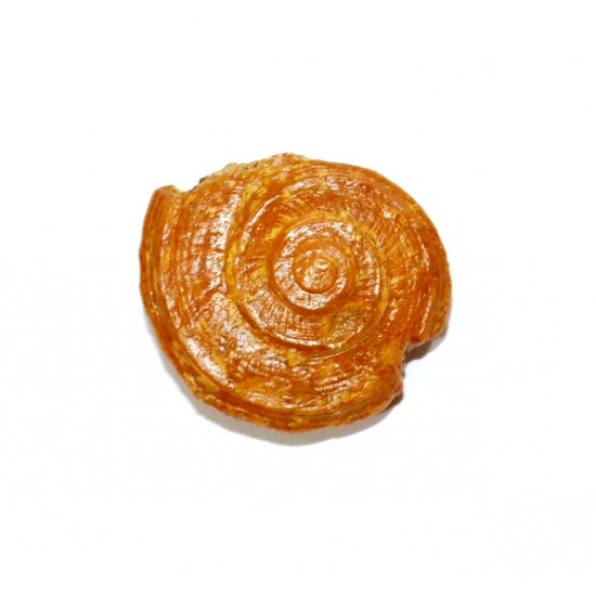 obornella disca