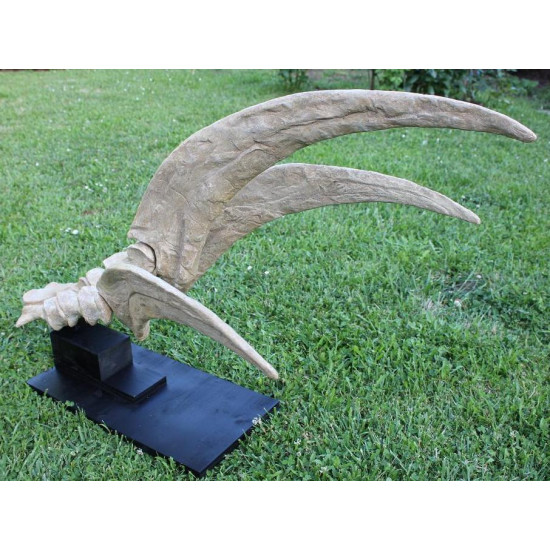 Therizinosaurus cheloniformis (hand)