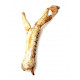 elosuchus cherifiensis (mandible)