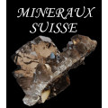 Suisse