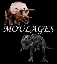Moulages Moulages