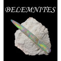 Belemnit