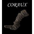 Corals