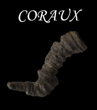 Coraux