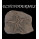 Echinoderms