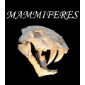 Mammals