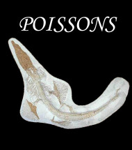 Poissons Poissons