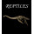 Reptiles