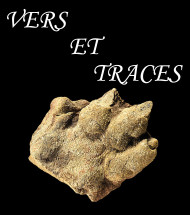 Vers et Trace Vers et Trace