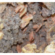 barite and quartz geode