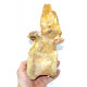 rebbachisaurus garasbae (vertebra)