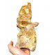 rebbachisaurus garasbae (vertebra)