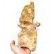 rebbachisaurus garasbae (vertebra)