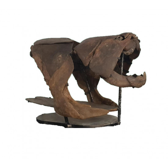 dunkleosteus marsaisi