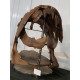 dunkleosteus marsaisi