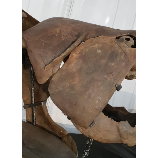 dunkleosteus marsaisi