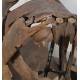 dunkleosteus marsaisi