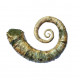 Ephamulina arcuata 