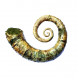 Ephamulina arcuata 