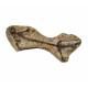 Barasaurus besairiei