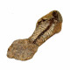 Barasaurus besairiei
