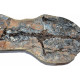 Barasaurus besairiei
