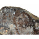 Barasaurus besairiei