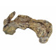 Barasaurus besairiei