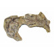 Barasaurus besairiei
