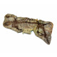 Barasaurus besairiei