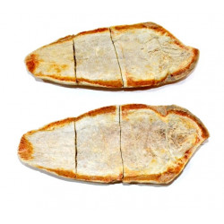 Whiteia tuberculata