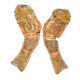 Pteronisculus cicatrosus